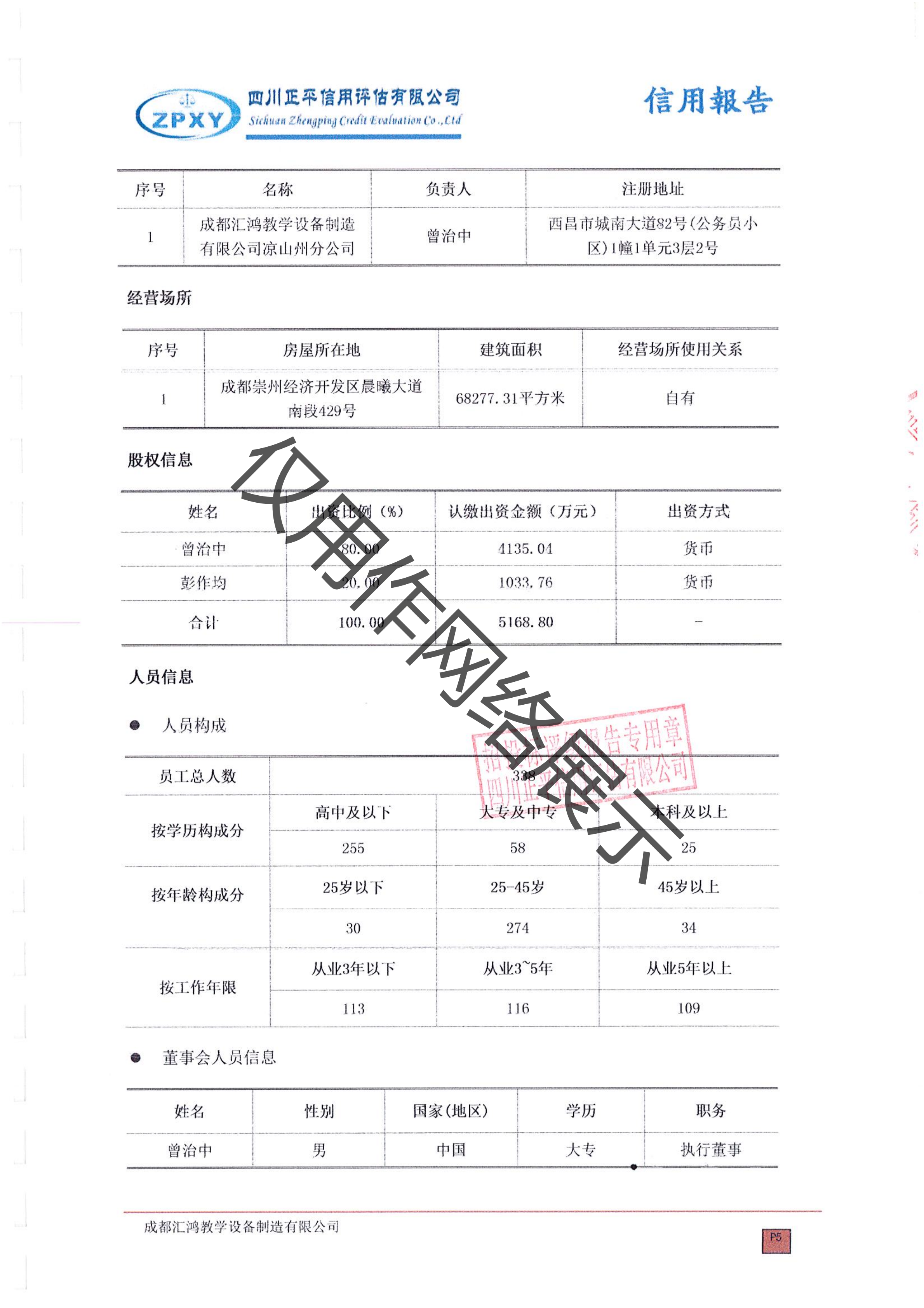 信用评级报告带水印_05